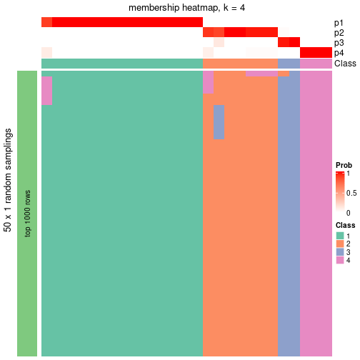 plot of chunk tab-node-014-membership-heatmap-3