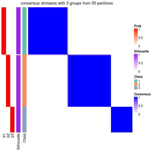 plot of chunk tab-node-02-consensus-heatmap-2