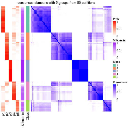 plot of chunk tab-node-02-consensus-heatmap-4