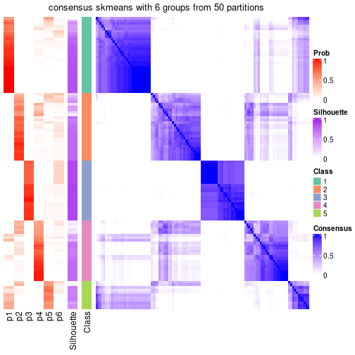 plot of chunk tab-node-02-consensus-heatmap-5