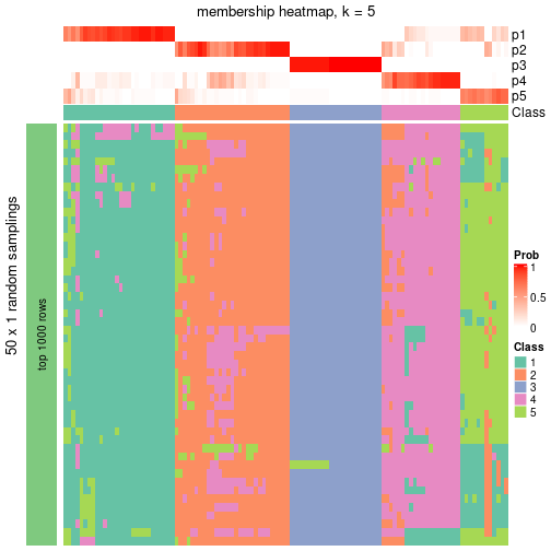 plot of chunk tab-node-02-membership-heatmap-4