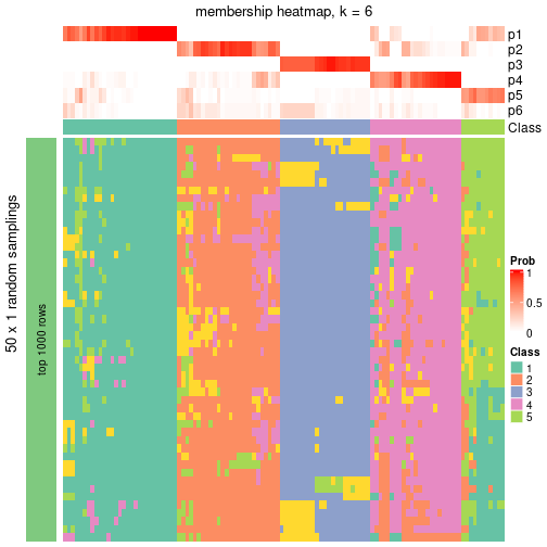 plot of chunk tab-node-02-membership-heatmap-5