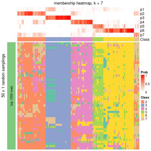 plot of chunk tab-node-02-membership-heatmap-6