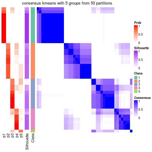 plot of chunk tab-node-021-consensus-heatmap-4