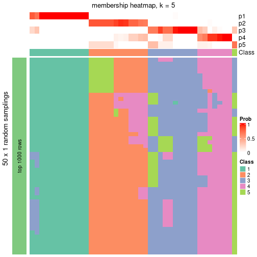 plot of chunk tab-node-021-membership-heatmap-4