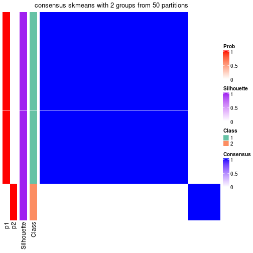 plot of chunk tab-node-0213-consensus-heatmap-1