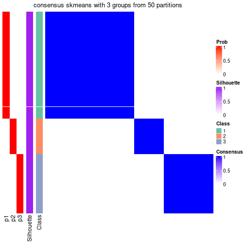 plot of chunk tab-node-0213-consensus-heatmap-2