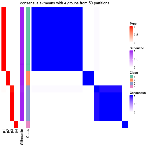 plot of chunk tab-node-0213-consensus-heatmap-3