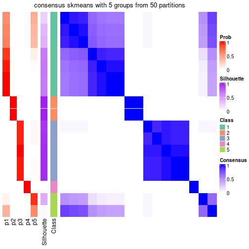 plot of chunk tab-node-0213-consensus-heatmap-4