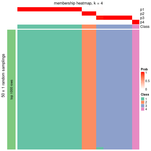 plot of chunk tab-node-0213-membership-heatmap-3