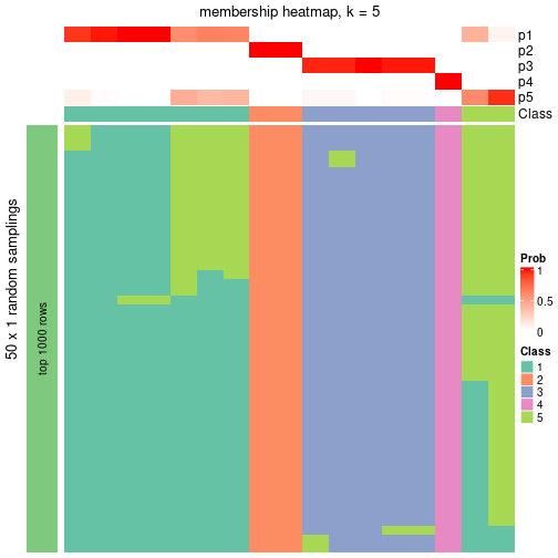 plot of chunk tab-node-0213-membership-heatmap-4