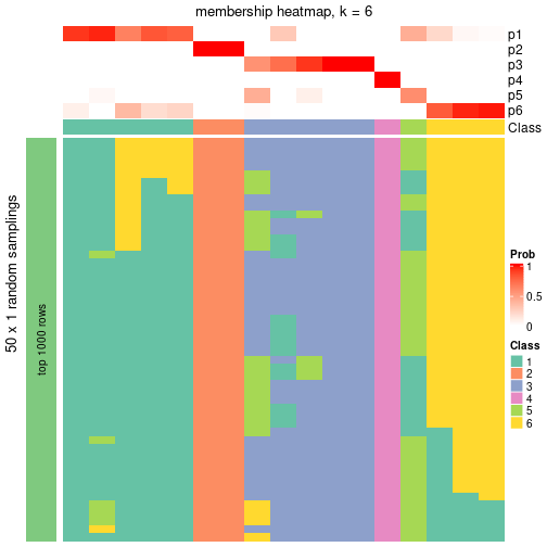 plot of chunk tab-node-0213-membership-heatmap-5