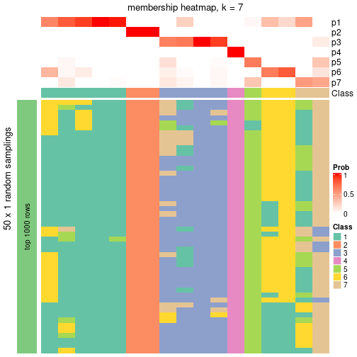 plot of chunk tab-node-0213-membership-heatmap-6