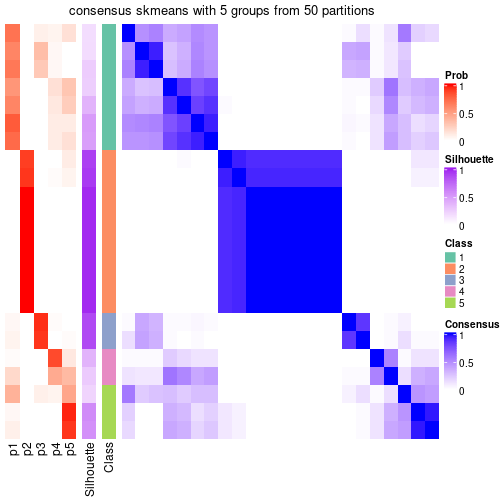 plot of chunk tab-node-023-consensus-heatmap-4