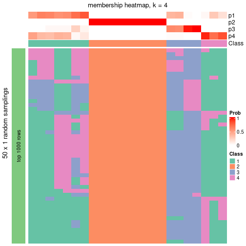 plot of chunk tab-node-023-membership-heatmap-3