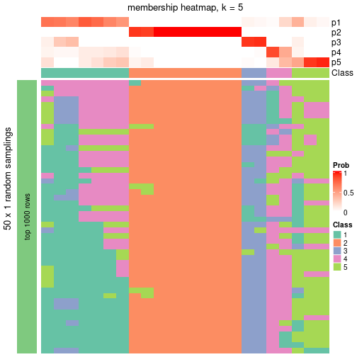 plot of chunk tab-node-023-membership-heatmap-4