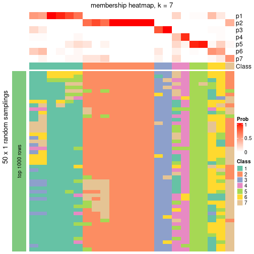 plot of chunk tab-node-023-membership-heatmap-6