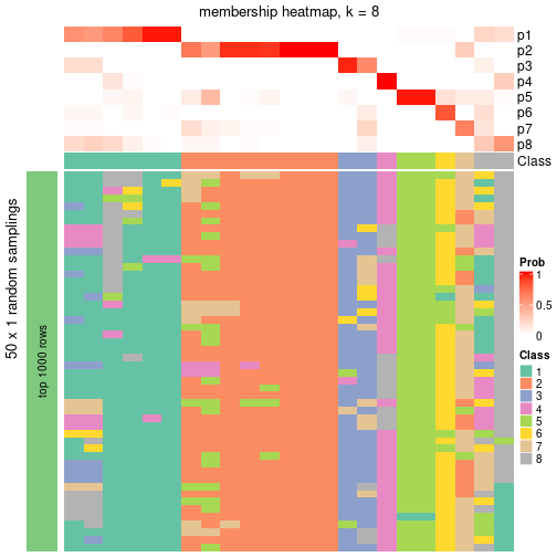 plot of chunk tab-node-023-membership-heatmap-7