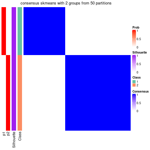 plot of chunk tab-node-04-consensus-heatmap-1