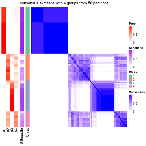 plot of chunk tab-node-04-consensus-heatmap-3