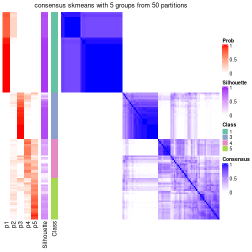 plot of chunk tab-node-04-consensus-heatmap-4