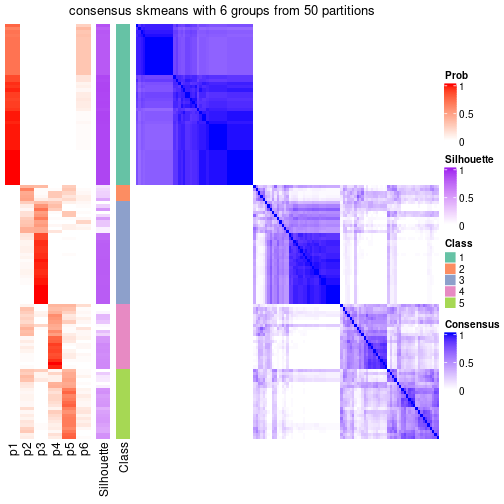 plot of chunk tab-node-04-consensus-heatmap-5