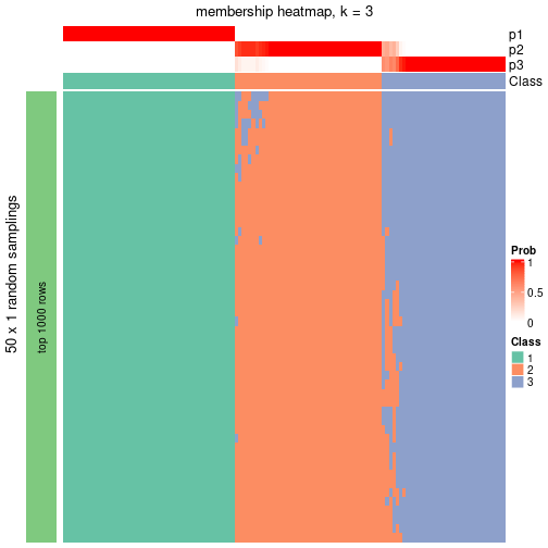 plot of chunk tab-node-04-membership-heatmap-2