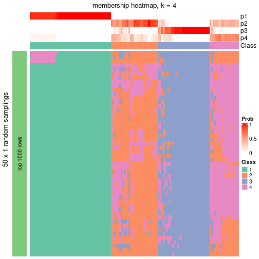 plot of chunk tab-node-04-membership-heatmap-3