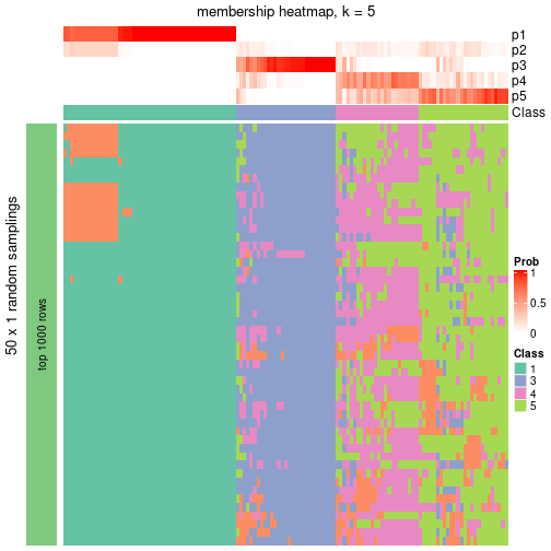 plot of chunk tab-node-04-membership-heatmap-4