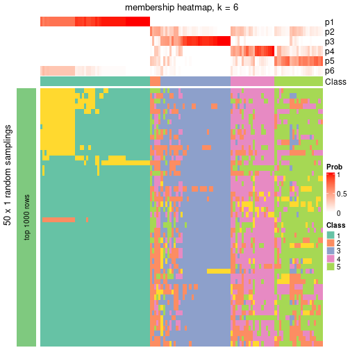 plot of chunk tab-node-04-membership-heatmap-5