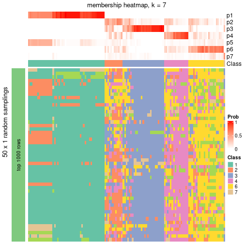 plot of chunk tab-node-04-membership-heatmap-6