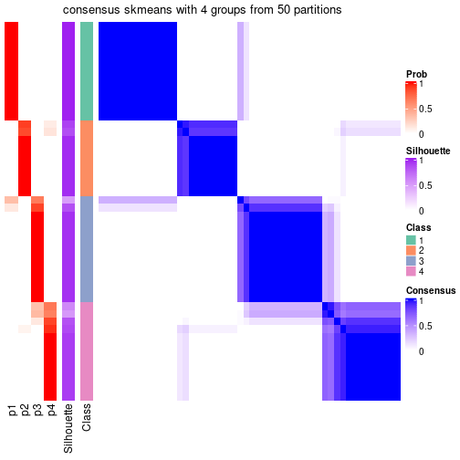 plot of chunk tab-node-041-consensus-heatmap-3