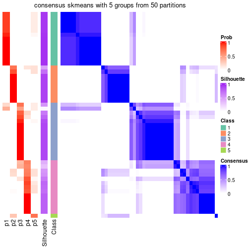 plot of chunk tab-node-041-consensus-heatmap-4