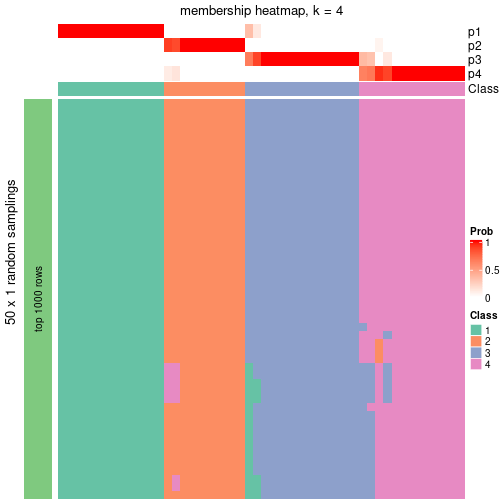 plot of chunk tab-node-041-membership-heatmap-3