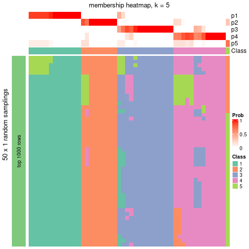 plot of chunk tab-node-041-membership-heatmap-4