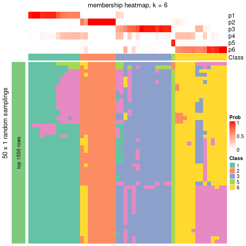 plot of chunk tab-node-041-membership-heatmap-5