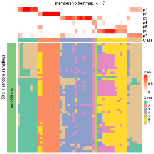 plot of chunk tab-node-041-membership-heatmap-6