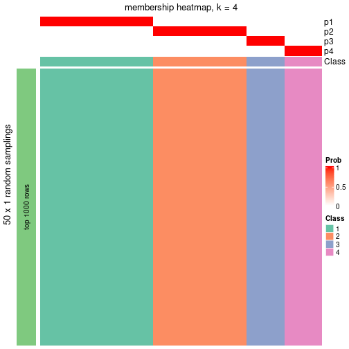 plot of chunk tab-node-0411-membership-heatmap-3