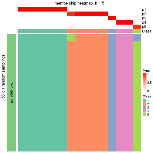 plot of chunk tab-node-0411-membership-heatmap-4