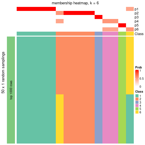 plot of chunk tab-node-0411-membership-heatmap-5