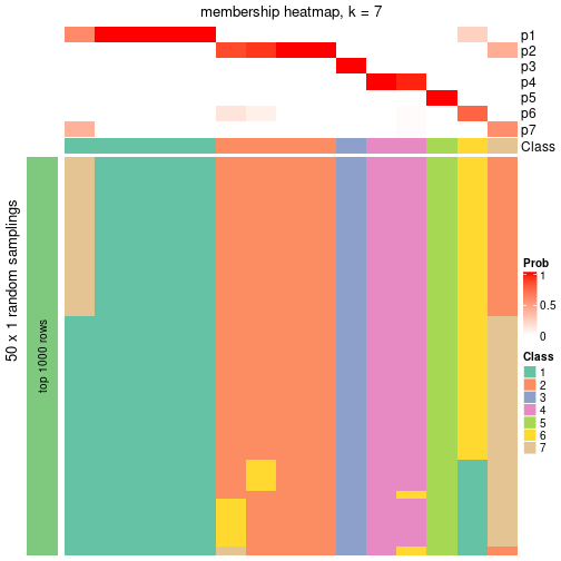 plot of chunk tab-node-0411-membership-heatmap-6