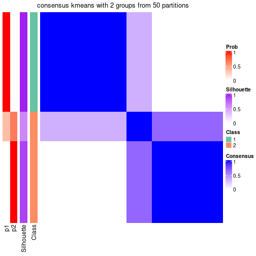 plot of chunk tab-node-043-consensus-heatmap-1