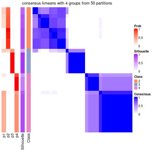 plot of chunk tab-node-043-consensus-heatmap-3