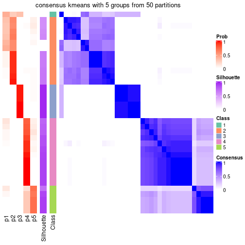 plot of chunk tab-node-043-consensus-heatmap-4