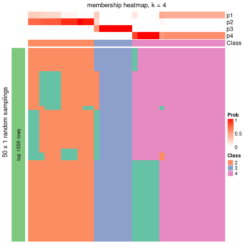 plot of chunk tab-node-043-membership-heatmap-3