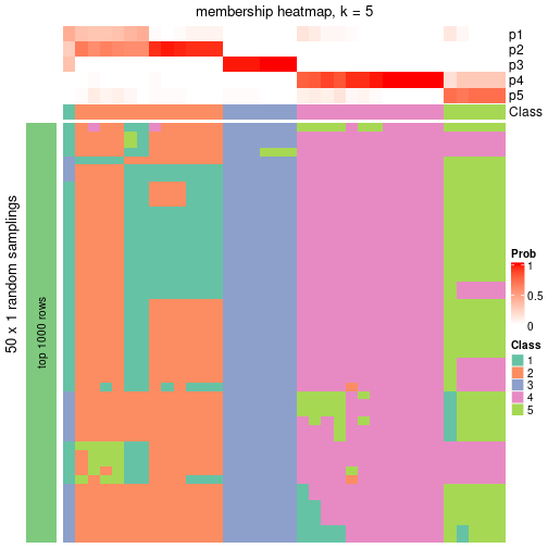 plot of chunk tab-node-043-membership-heatmap-4