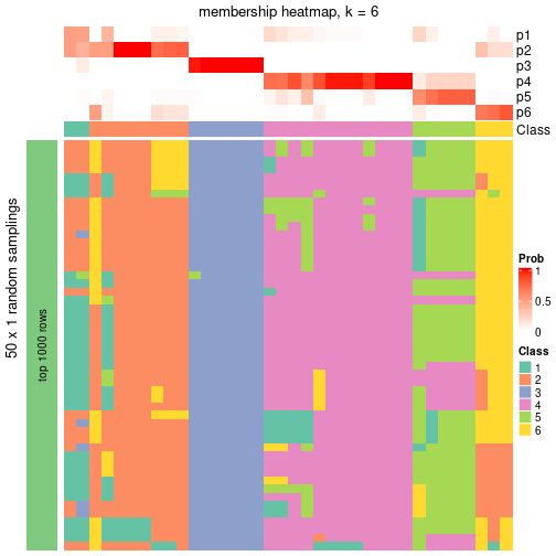 plot of chunk tab-node-043-membership-heatmap-5