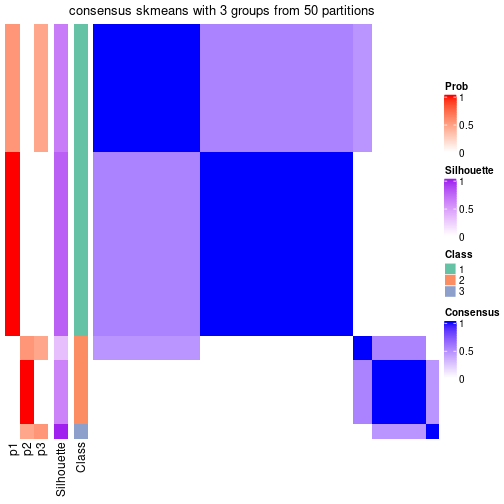 plot of chunk tab-node-05-consensus-heatmap-2