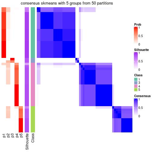 plot of chunk tab-node-05-consensus-heatmap-4