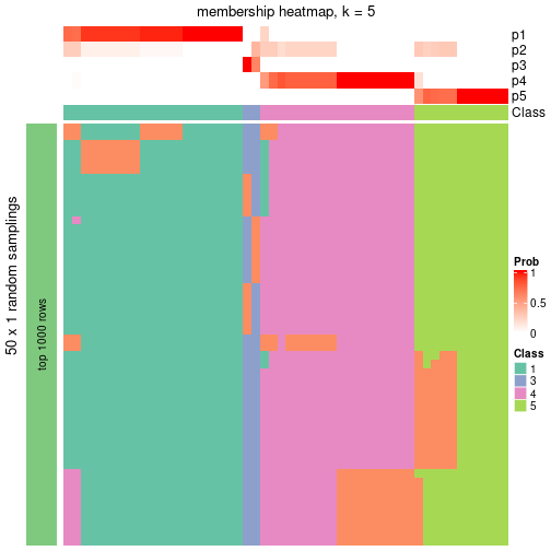 plot of chunk tab-node-05-membership-heatmap-4